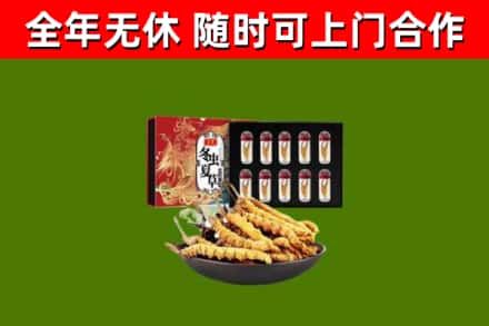 延津烟酒回收冬虫夏草礼盒.jpg