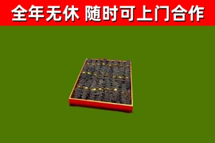 延津回收海参